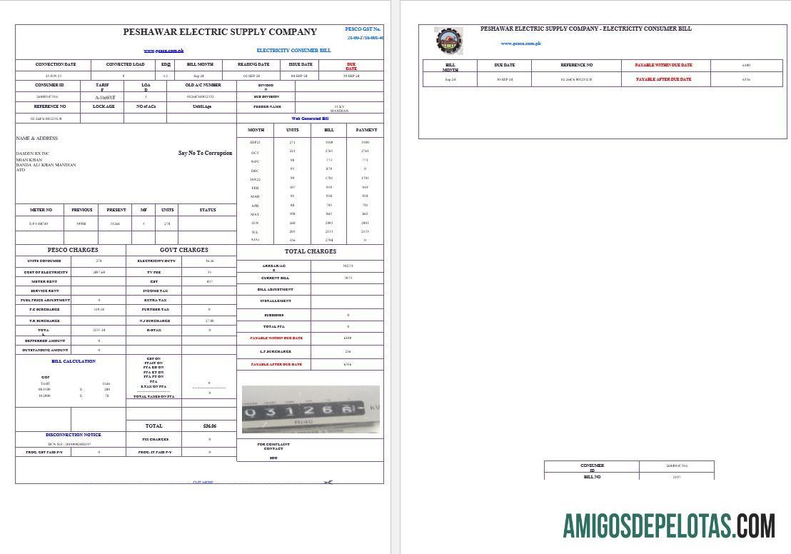 imprimível PAQUISTÃO PESHAWAR EMPRESA DE FORNECIMENTO ELÉTRICO Business Utility Bill Word e modelo PDF